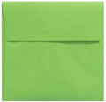 LUXPaper Square Invitation Envelopes | Peel & Press | 7" x 7" | Limelight Green by LUXPaper