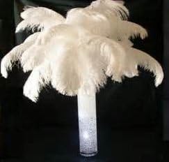 Sowder 14-16inch Ostrich Feathers, Ostrich Plume, Wedding centerpieces Feathers - Image 2