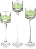 yummi Set of 18 Floating Candles and Monet Stem Holders by YummiCandles