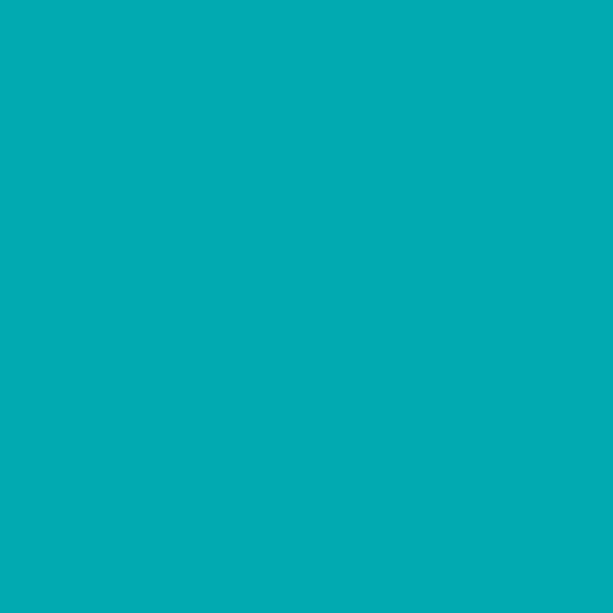 Jillson Roberts 6 Roll-Count All-Occasion Solid Color Gift Wrap Available in 10 - Image 6
