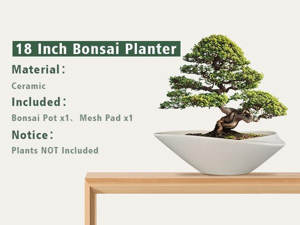 18 Inch Ceramic Bonsai Planter Pot - Image 9