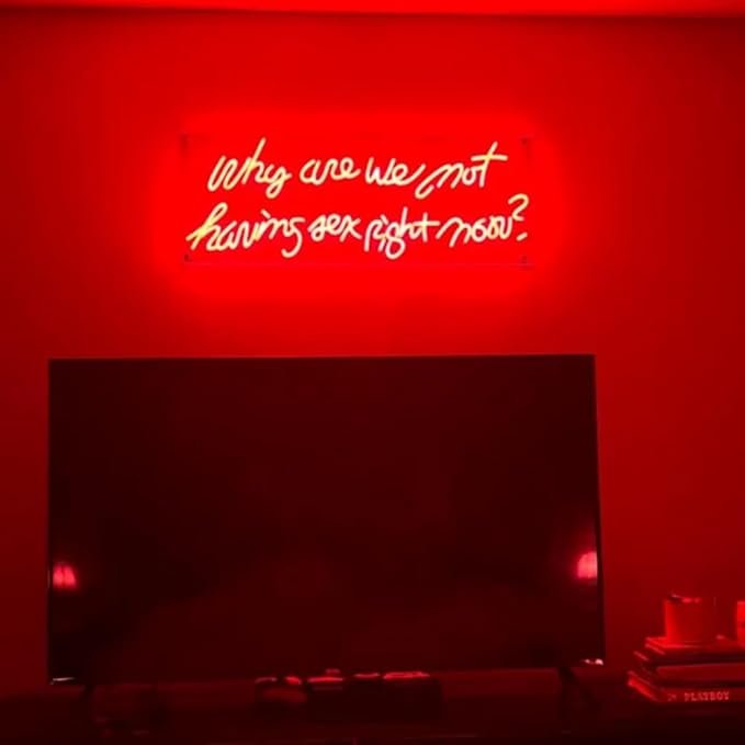 Why Are We Not Having Sex Right Now Neon Sign, Led Neon Sign, Custom Neon Sign - Image 5
