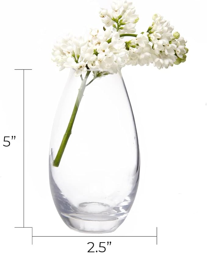 CHIVE ‘George’ Glass Bottle Flower Vases — Set of 6 — Small, Elegant Clear - Image 3
