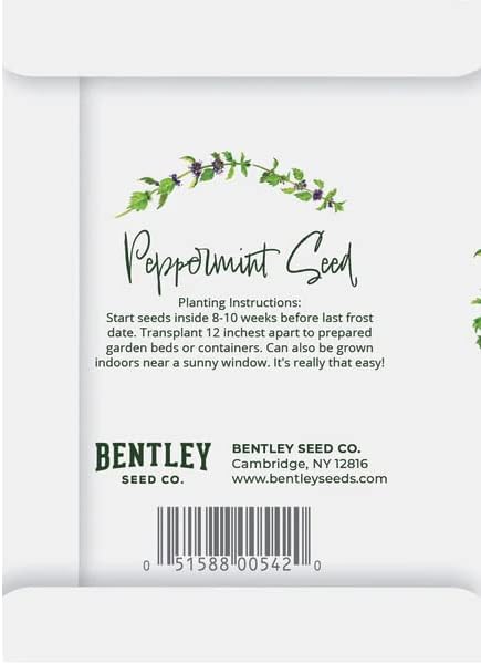 Simply Mint to Be 25 Peppermint Packets - Image 3