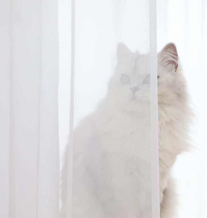 Basic White Sheer Curtains - Image 2