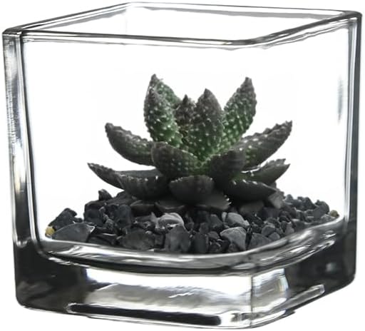WGV 2 Inch Tea Light Votive Candle Holder, Square Cube 2”x2”, Small Tiny Bulk by WGVInternational-OpusGlassware