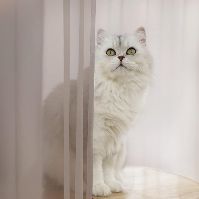 Window Light Grey Sheer Curtains 48 Inches Width 145 Inches Long 2 Panels Sheer - Image 2