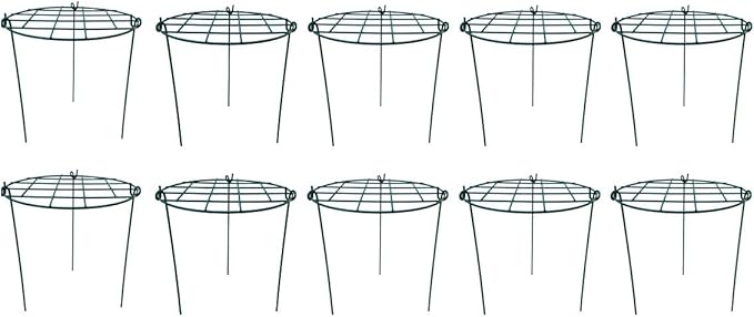 12 x 16 inch Poeny Cage Grow Through Grid Plant Brace Flower Support Rings by MTBGarden
