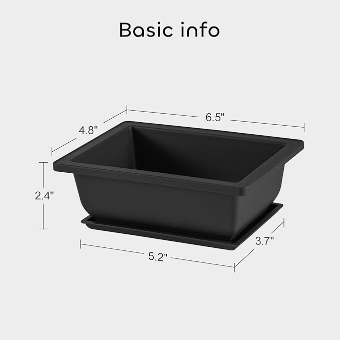 GROWNEER 3 Pcs 6.5 Inch Bonsai Pots - Image 4