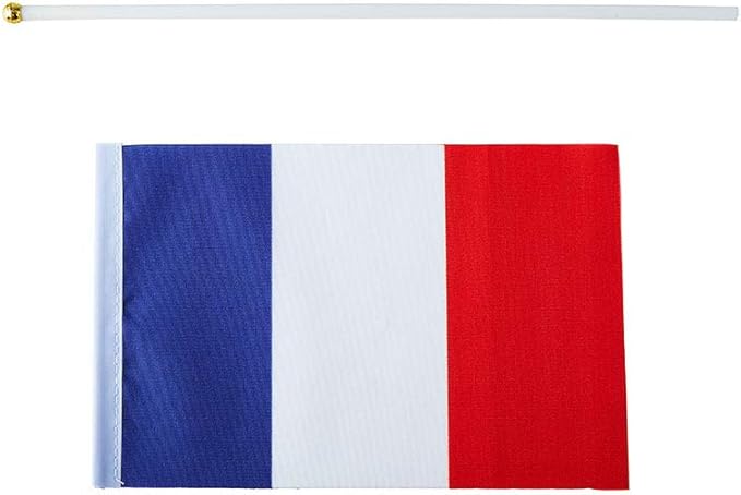 France Flag French Flag, Small Mini Handheld France Flags on Stick - Image 4