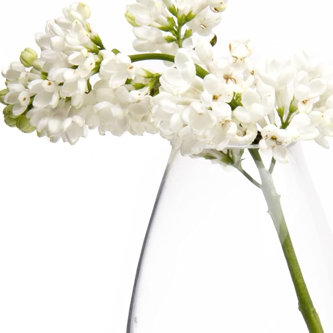 CHIVE ‘George’ Glass Bottle Flower Vases — Set of 6 — Small, Elegant Clear - Image 4