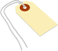 SmartSign Blank Shipping Tags by SmartSign