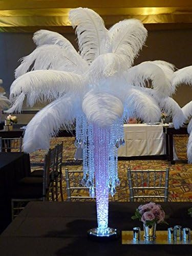 Sowder 16-18inch Ostrich Feathers Plume - Image 2