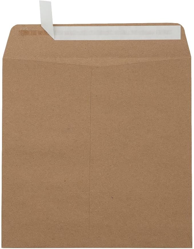 LUXPaper Square Invitation Envelopes | Peel & Press | 8" x 8" | Grocery Bag by LUXPaper
