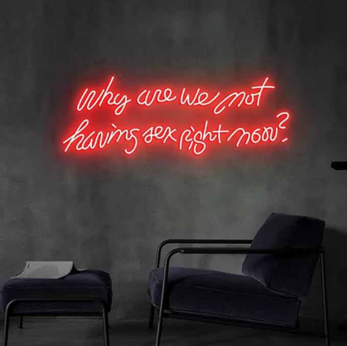 Why Are We Not Having Sex Right Now Neon Sign, Led Neon Sign, Custom Neon Sign - Image 3
