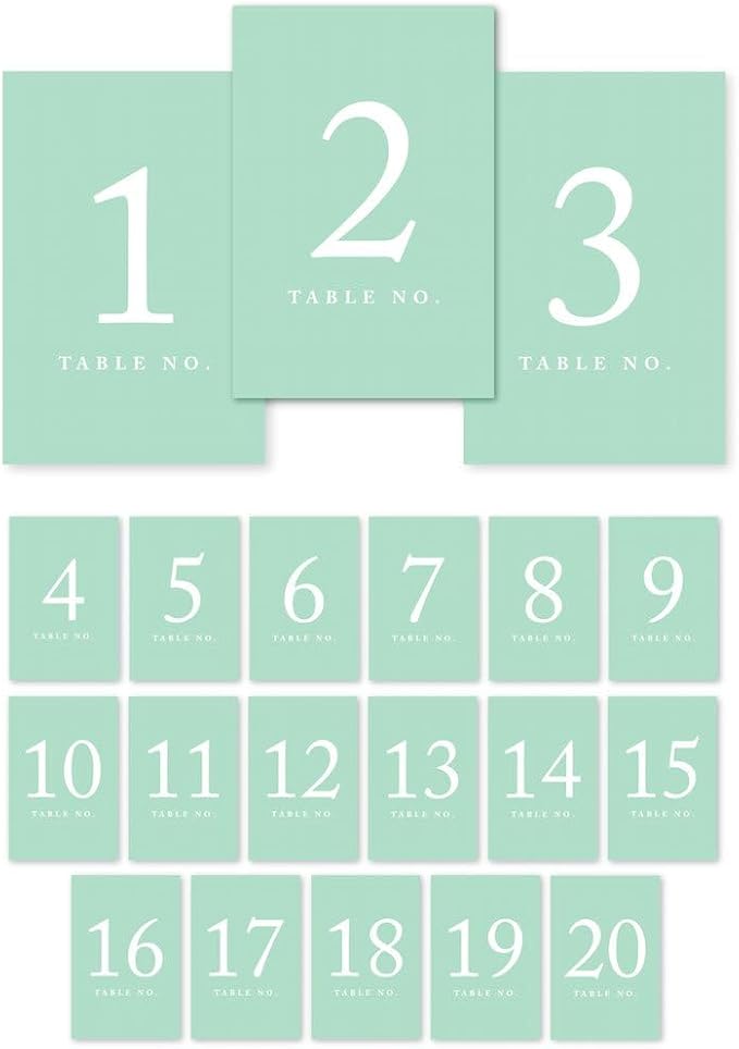 Andaz Press Table Numbers 1-20 on Perforated Paper, Mint Green, 4x6-inch Single by AndazPress