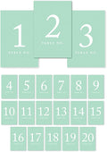 Andaz Press Table Numbers 1-20 on Perforated Paper, Mint Green, 4x6-inch Single by AndazPress
