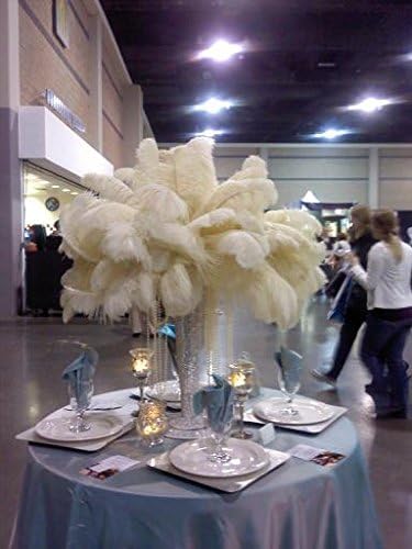 Sowder 10-12inch Ostrich Feathers Plume - Image 3