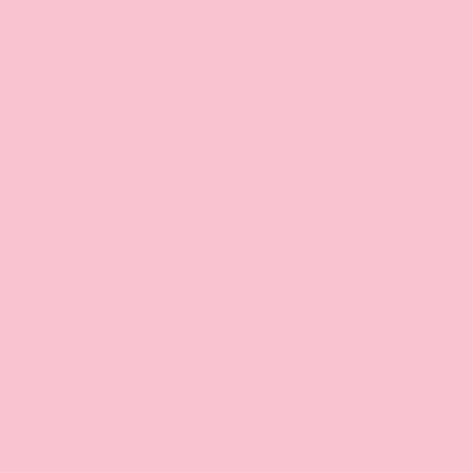 Jillson Roberts 6 Roll-Count All-Occasion Solid Color Gift Wrap Available in 7 - Image 3