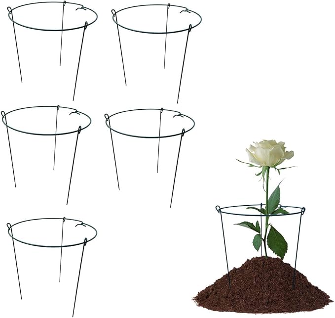 14" Wide x 24" High Peony Cage Rings Garden Plant Support Brace, Strong Large by MTBGarden