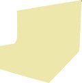 ISSUNTEX 6X9 ft/1.8X2.7 Meters Beige Background Photo Backdrop, Photo Studio by ISSUNTEX