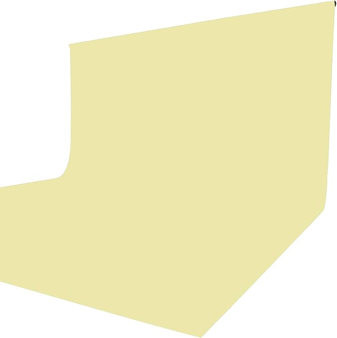 ISSUNTEX 6X9 ft/1.8X2.7 Meters Beige Background Photo Backdrop, Photo Studio by ISSUNTEX