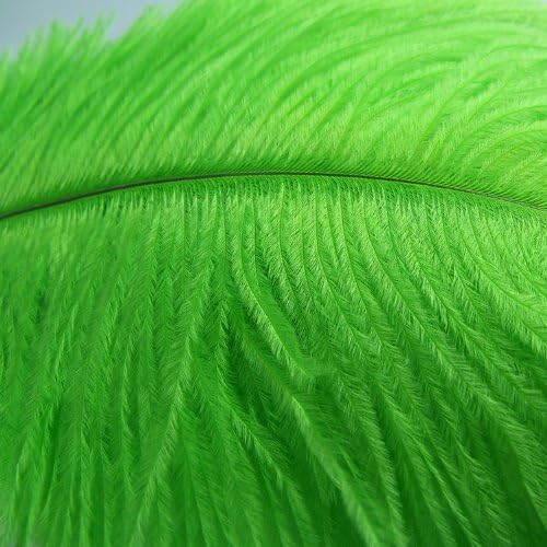 KOLIGHT® 40pcs 12''~14'' Natural Ostrich Feathers - Image 3