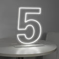 Number 5 Neon Sign for Birthday, 16.54" Cool White USB Battery Powered Led Neon by LIYUNEON