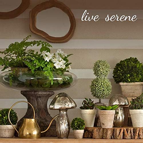Serene Spaces Living 5in Clear Ribbed Glass Votive Holder, Decorative - Image 5