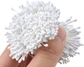 HAHIYO 700Pcs 2mm White Matte Double Heads Flower Stamen Pistil by HAHIYO