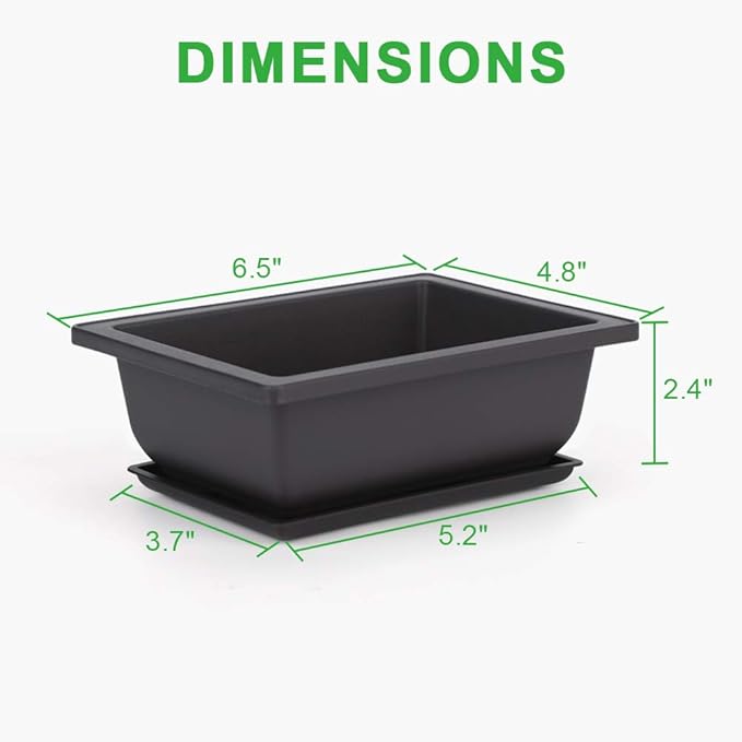 GROWNEER 6 Packs 6.5 Inch Bonsai Training Pots - Image 2