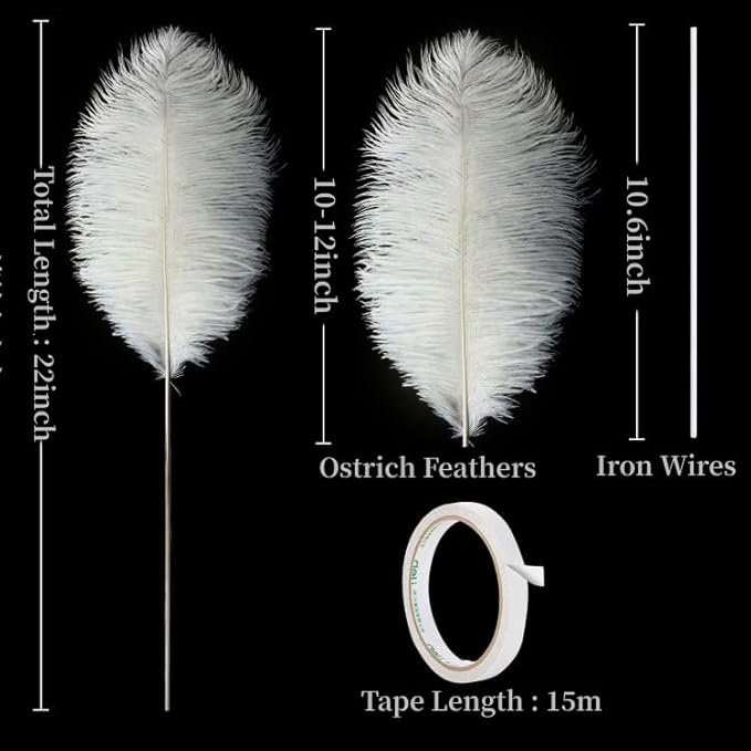 Holmgren Beige Ostrich Feathers Bulk - Image 3