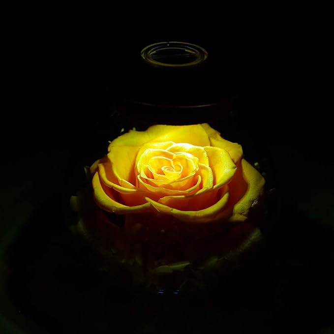 Preserved Real Roses with Colorful Mood Light Wishing Bottle, Eternal - Image 7