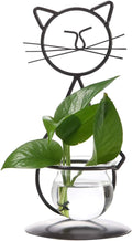 Marbrasse Desktop Glass Planter Vase Holder, Modern Creative Cat Plant by Marbrasse