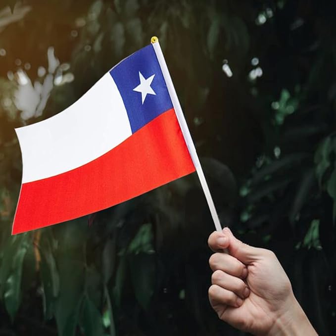 Chile Flag Chilean Flag, Small Mini Handheld Chile Flags on Stick - Image 6