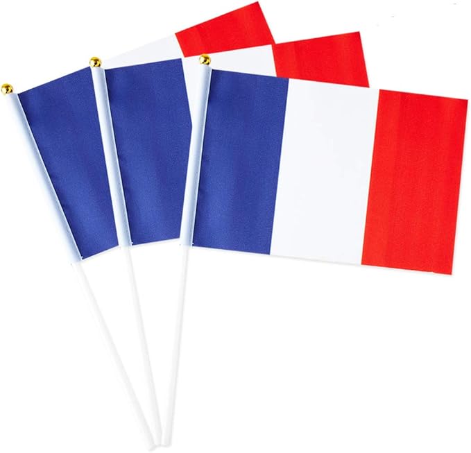 France Flag French Flag, Small Mini Handheld France Flags on Stick by Mflagperft