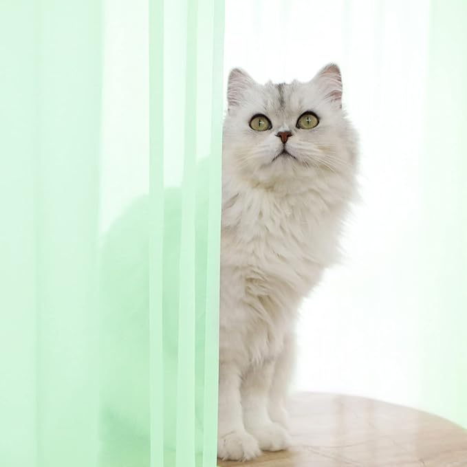Window Light Green Sheer Curtains 145 Inches Long 2 Panels Sheer Curtain Basic - Image 2