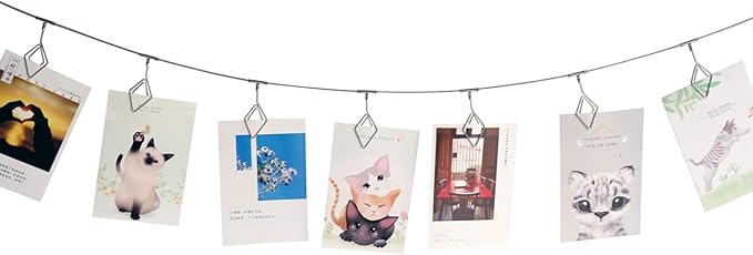 TFu Wall Hanging Photo Display, DIY Picture Photo Frame String by TFu