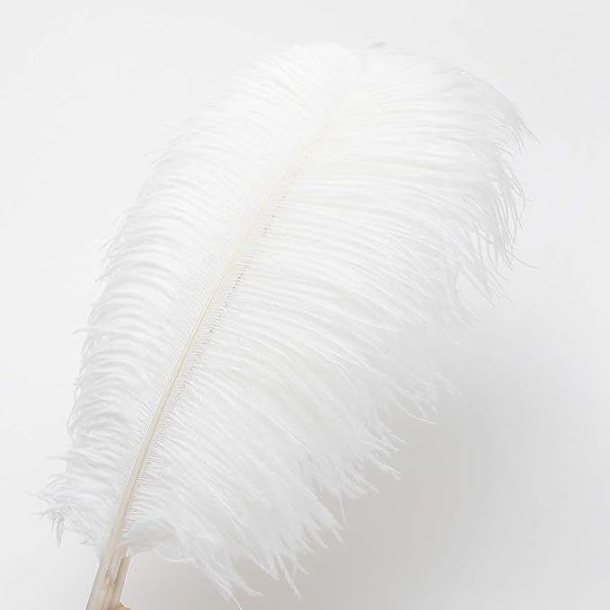 Ballinger Large White Ostrich Feathers - Image 2