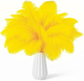 NEWONG 30pcs Yellow Ostrich Feathers Natural Bulk 9-12in（23-30cm） Vase Craft by NEWONG