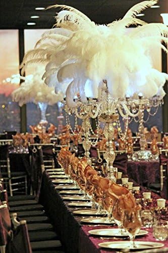 Sowder 14-16inch Ostrich Feathers, Ostrich Plume, Wedding centerpieces Feathers - Image 3