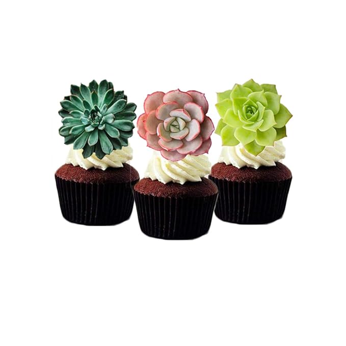 24pcs Edible Cupcake toppers Succulents Hawaiian Party Cake Summer Decoration - Image 2