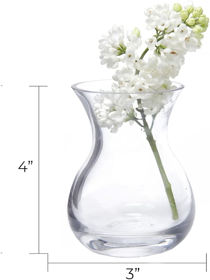 CHIVE ‘George’ Glass Bottle Flower Vases — Set of 6 — Small, Elegant Clear - Image 3