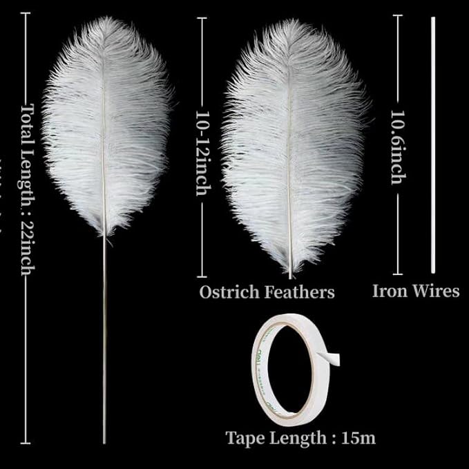 Holmgren White Ostrich Feathers Bulk - Image 3