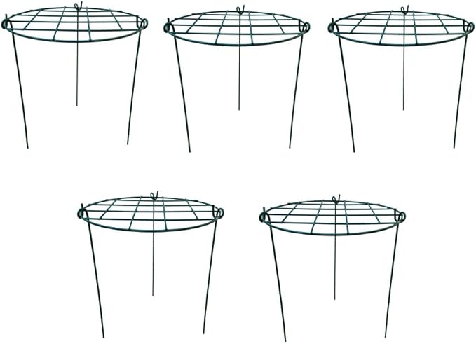 12 x 16 inch Poeny Cage Grow Through Grid Plant Brace Flower Support Rings by MTBGarden