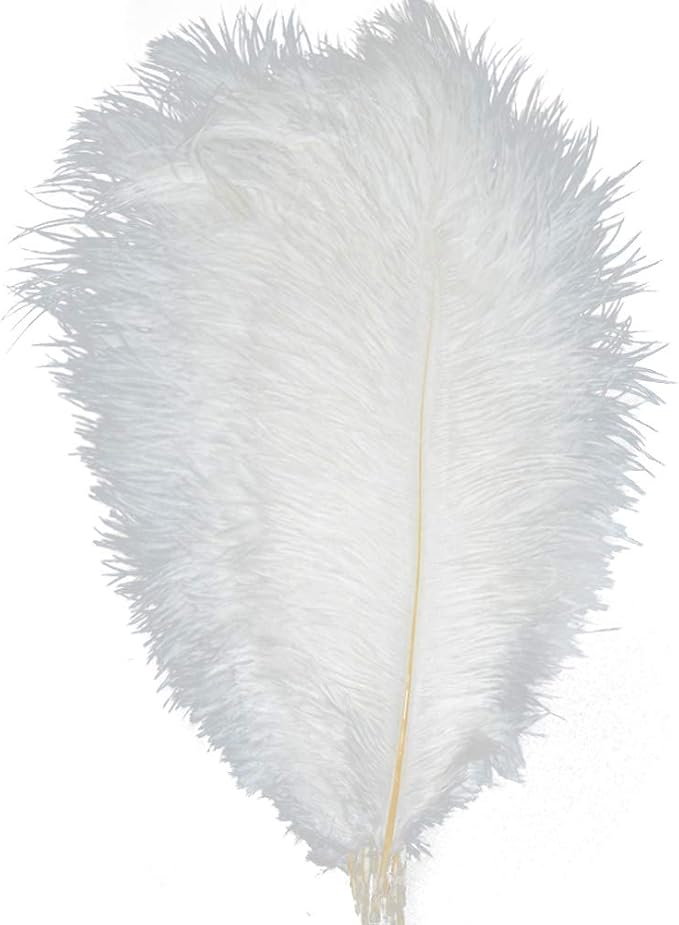 KOLIGHT 40pcs 12''~14'' Natural Ostrich Feathers by KOLIGHT