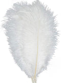 KOLIGHT 40pcs 12''~14'' Natural Ostrich Feathers by KOLIGHT