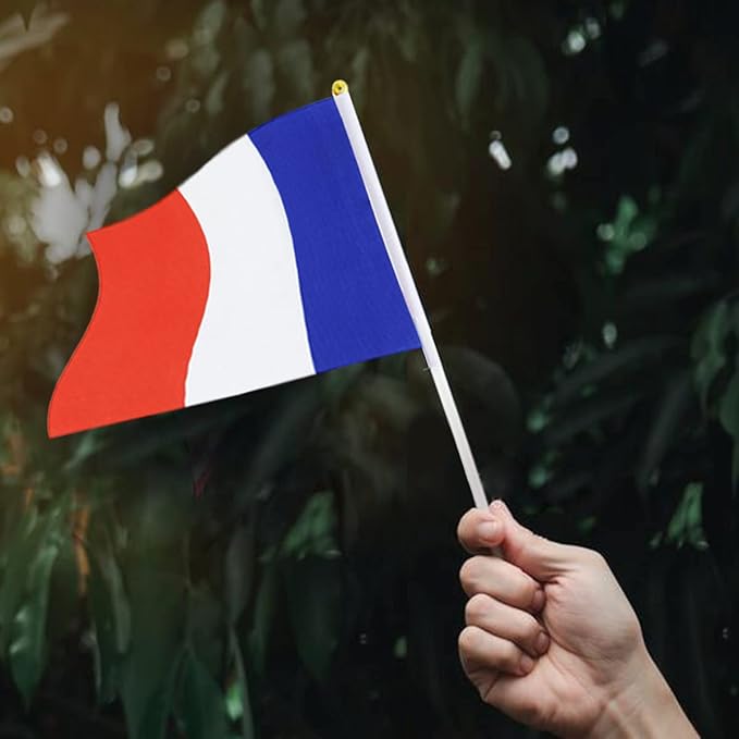 France Flag French Flag, Small Mini Handheld France Flags on Stick - Image 6