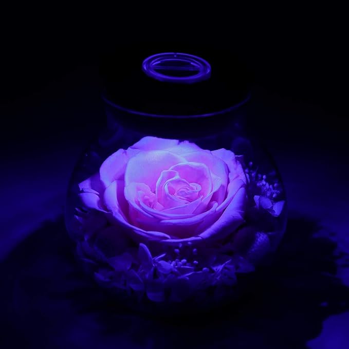 Preserved Real Roses with Colorful Mood Light Wishing Bottle, Eternal - Image 6