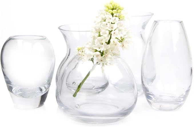 CHIVE ‘George’ Glass Bottle Flower Vases — Set of 5 — Small, Elegant Clear by Chive